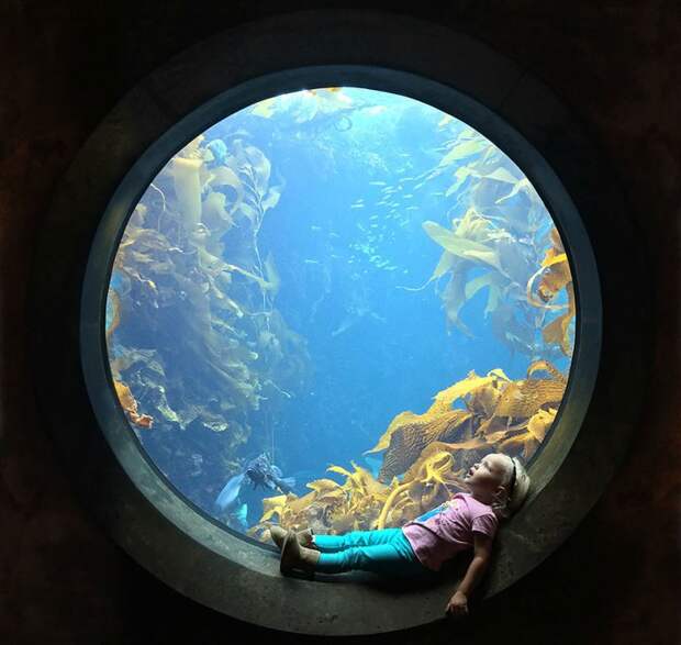 Monterey Bay Aquarium, Монтерей, Калифорния