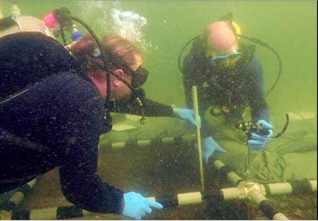 Древнее подводное захоронение Флориды намного старше, чем считалось ранее 