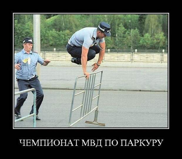 Демотиваторы (50 фото)