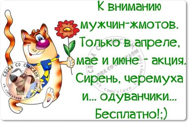 Молодожёны! Прежде чем бежать в ЗАГС, поклейте вместе обои (картинки с позитивными фразочками)