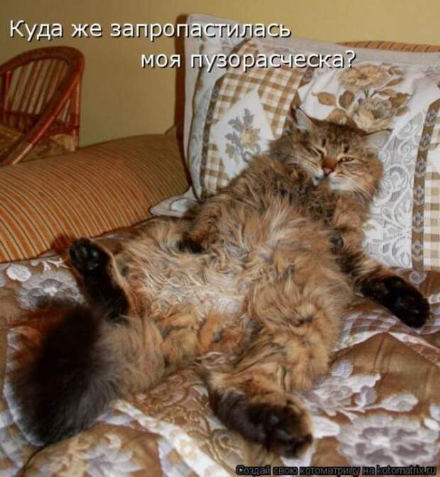 Котоматрица