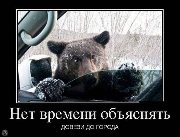 Автомобильные демотиваторы 3