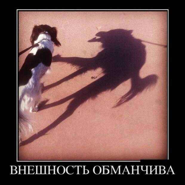 Демотиваторы (30 фото)