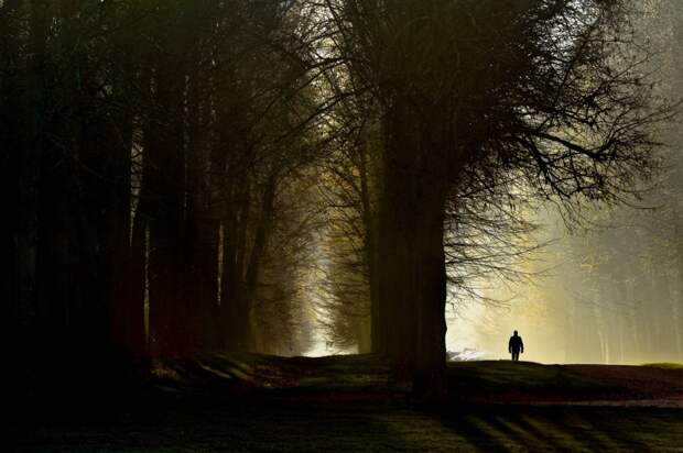25-Photos-Which-Charmed-Even-Professional-Photographers-Artnaz-Com-14