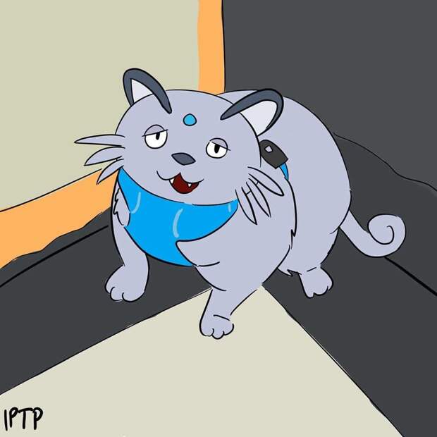 Толстая кошка по кличке Шлакоблок — новая звезда соцсетей. Многие узнали в ней себя