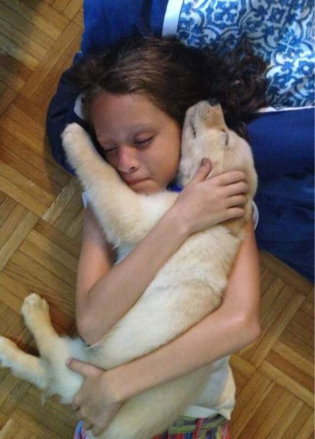 Щенки, ставших лучшими друзьями детей