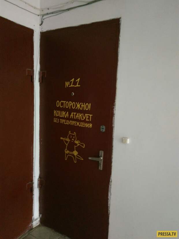 Прикольные фотографии - Субботний выпуск (53 фото)