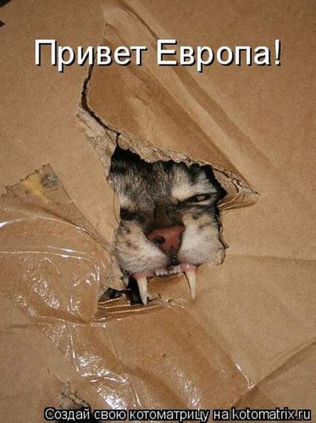 Мысли вслух :)
