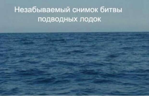 Весёлые фото и приколы Весёлые фото и приколы