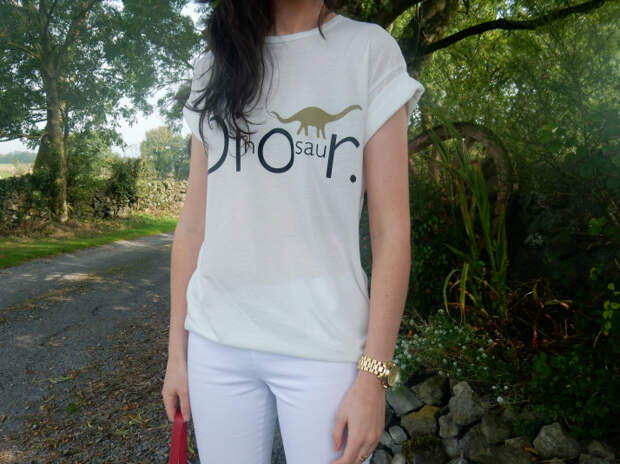 Irish Fashion DIOR or DInOsauR 11