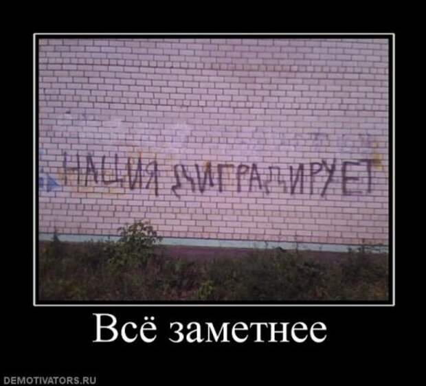Демотиваторы смешные прямо тут и сейчас!
