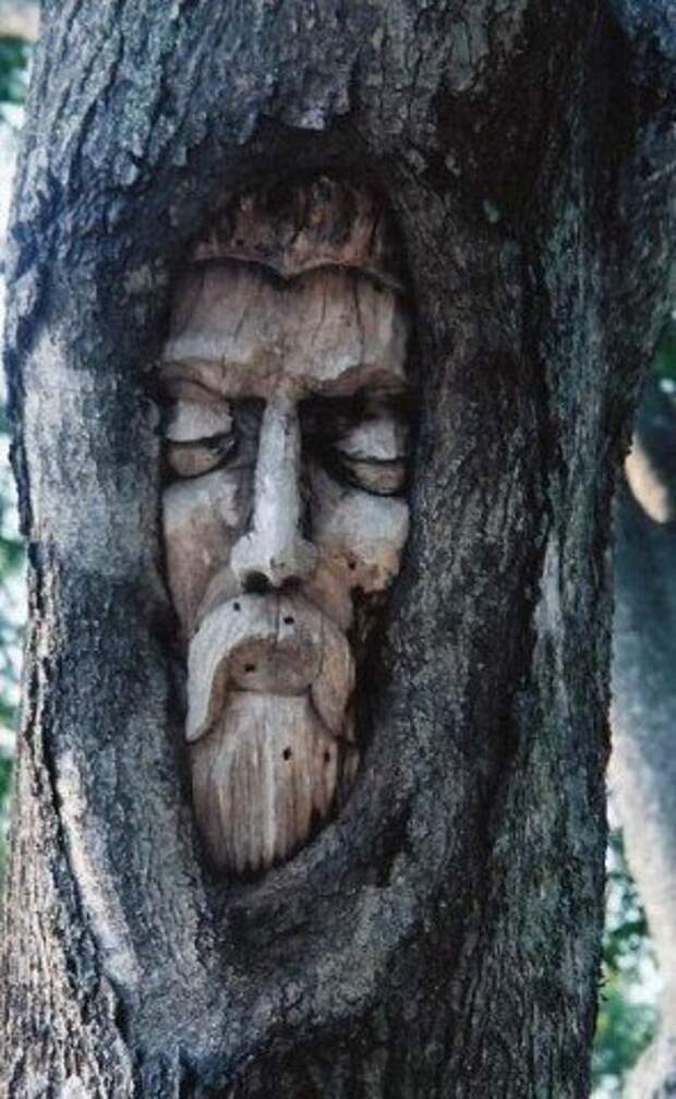 Духи деревьев