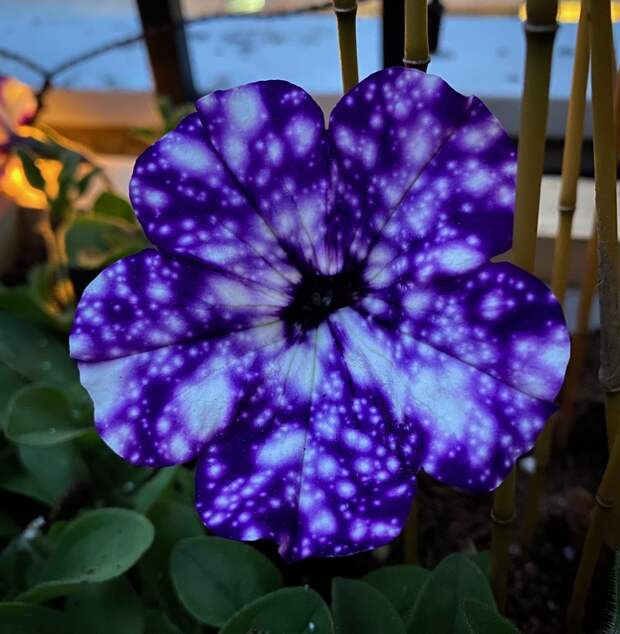 10 фото, которые доказывают, что у природы есть свои шутки