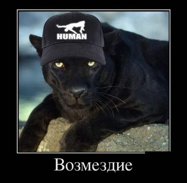 Демотиваторы (30 фото)