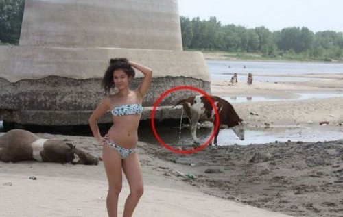 Испорченные фотографии девушек в бикини