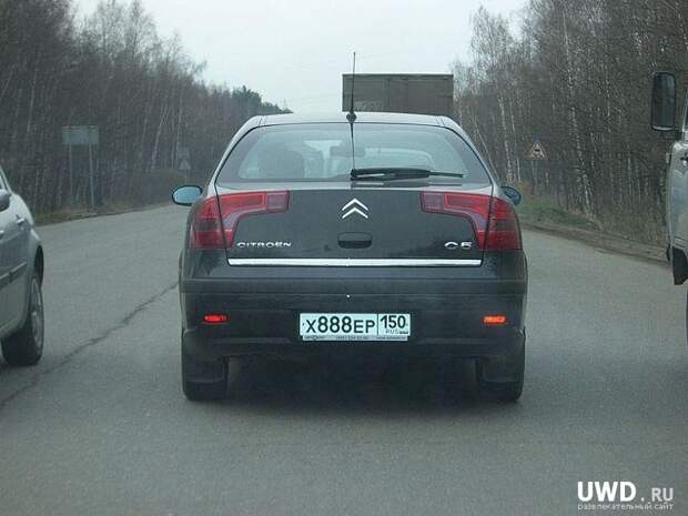 Маразмы на дорогах (85)