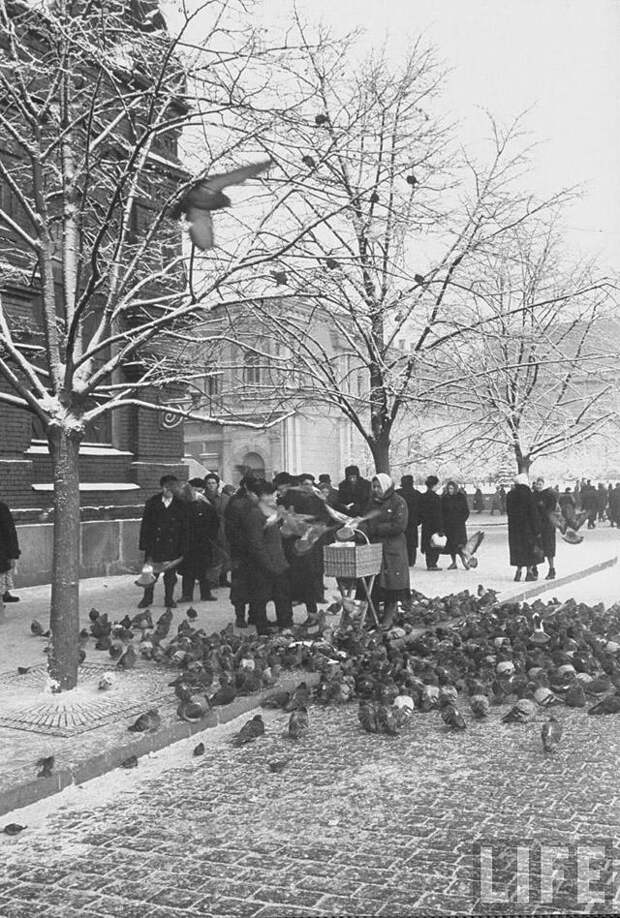 Какой была Москва в декабре 1959 года