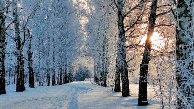 На Алтайский край надвигается резкое потепление до -3 градусов