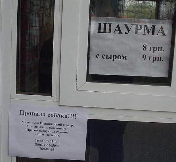Забавные объявления о пропаже домашних животных (25 фото) 