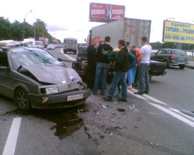 Про кота... авто, дтп, коты