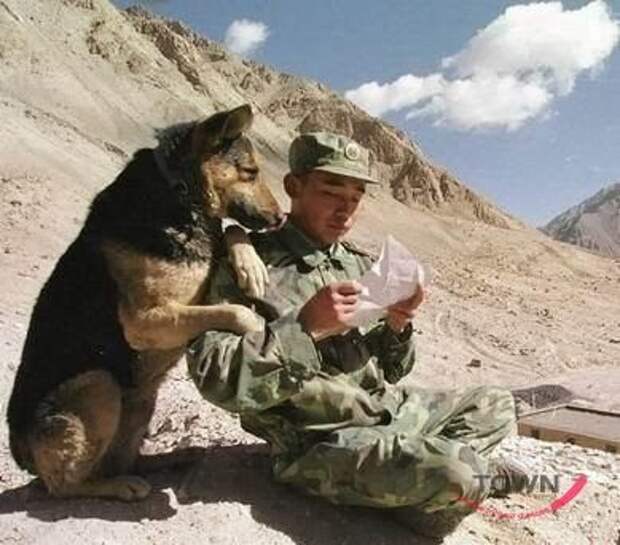 Вот это взаимопомощь!