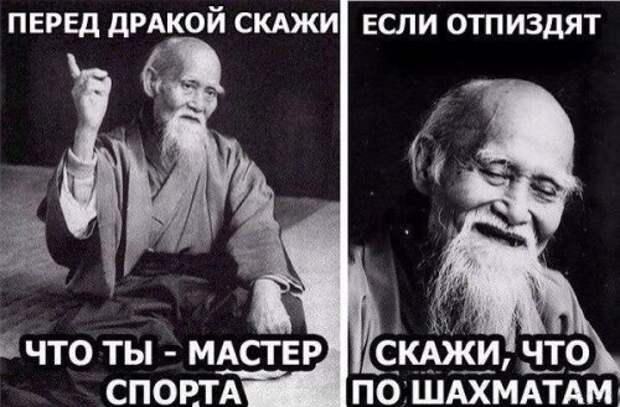 Прикольные фотомемы для хорошего настроения (35 шт)