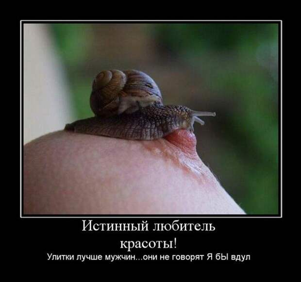 Демотиваторы (133 картинки)