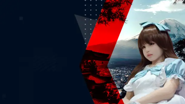 Необычные факты о Японии: от секс-кукол до хикикомори