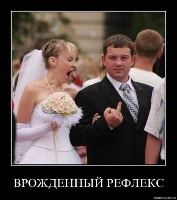 Демки, будет смешно!