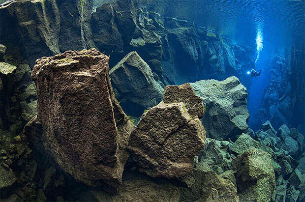 Лучшие подводные снимки 2010 (18 фото)