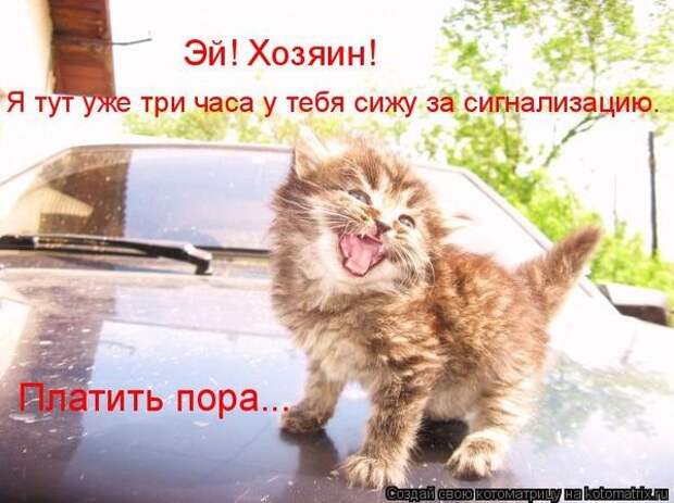 600x720-6eebb36851c174b82f77c4d81bd33a2f_103348 (600x449, 152Kb)