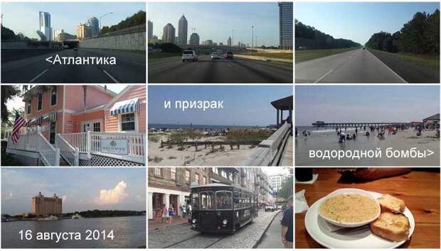 omd2014-1collage2