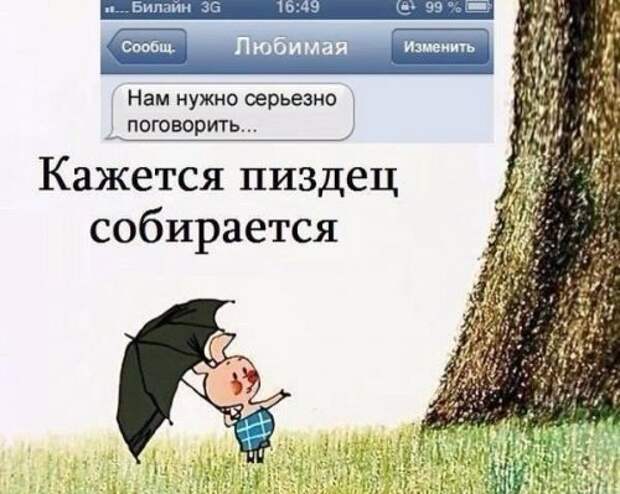 Прикольные картинки выходного дня (50 шт)