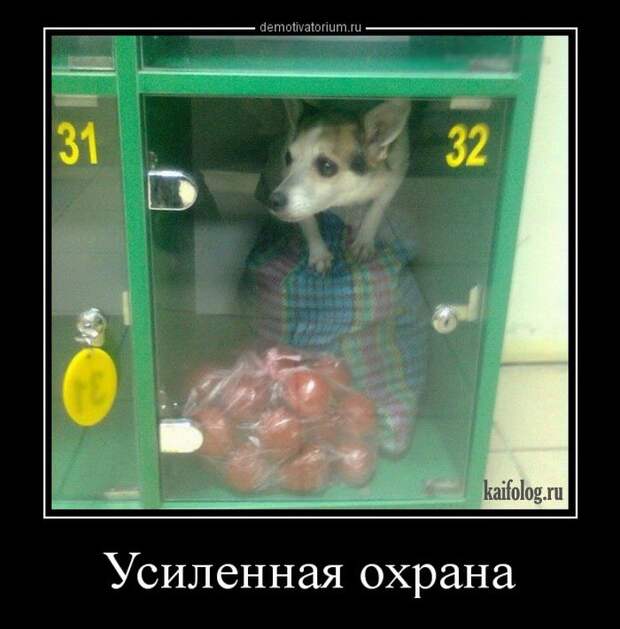 Смешные демы - 264 (50 картинок)