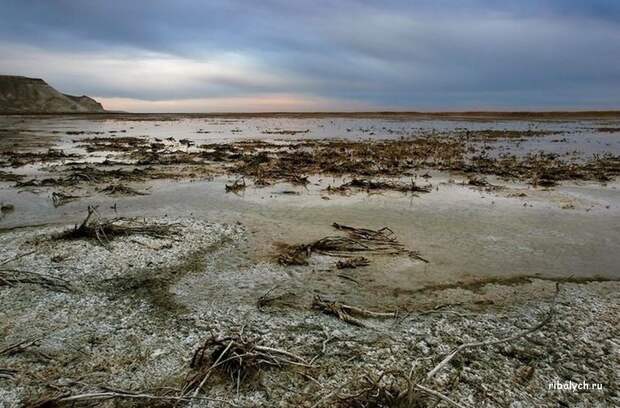 Экологические проблемы Аральского моря