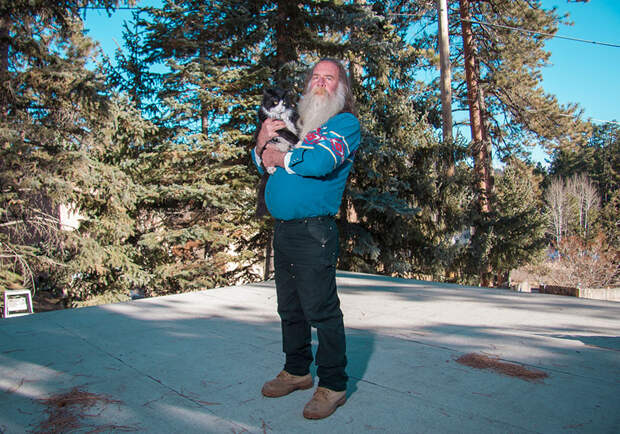 men and cats photography david williams 3 Одинокие мужчины и их котики