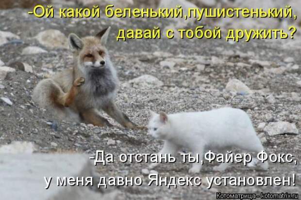 Лучшие котоматрицы прошедшей недели