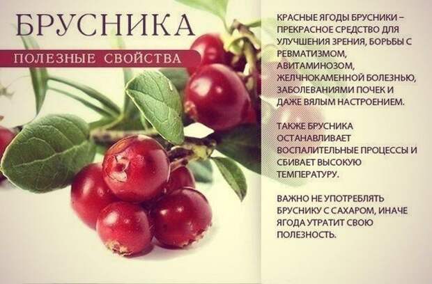 9 самых полезных продуктов для всего организма