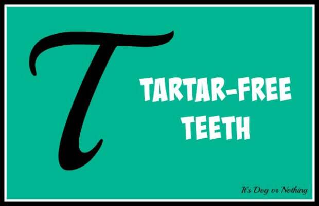When it comes to giant breed health and nutrition, there's a lot that goes into raising a happy, healthy dog. We're going from A to Z talking about giant breed specific needs! Today, it's all about how to keep those giant teeth tartar-free!