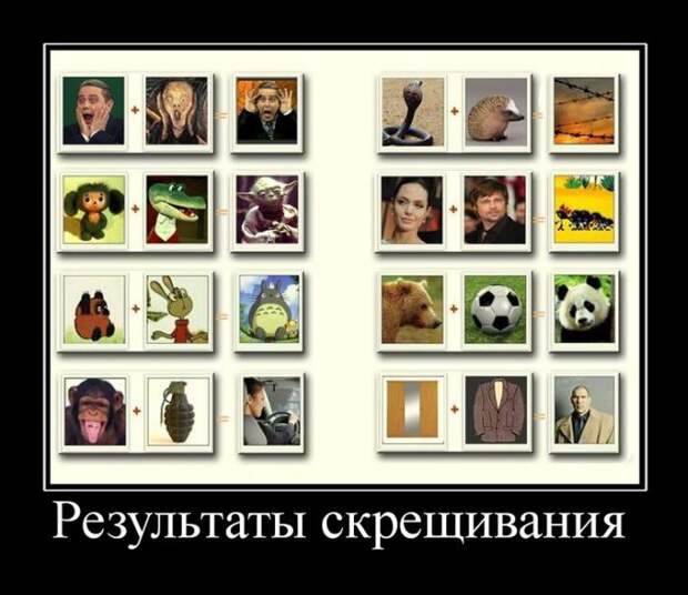 Демотиваторы (30 фото) Демотиваторы (30 фото)
