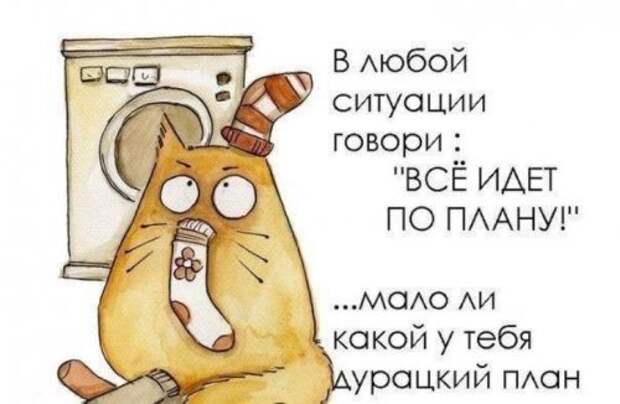 Анекдоты в начале недели (14 шт)