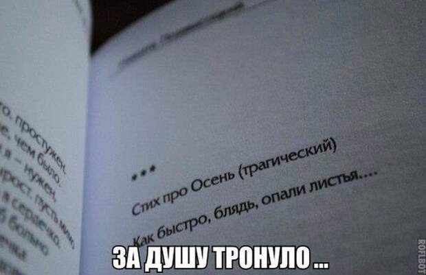 Смешные картинки с надписями прикол, юмор