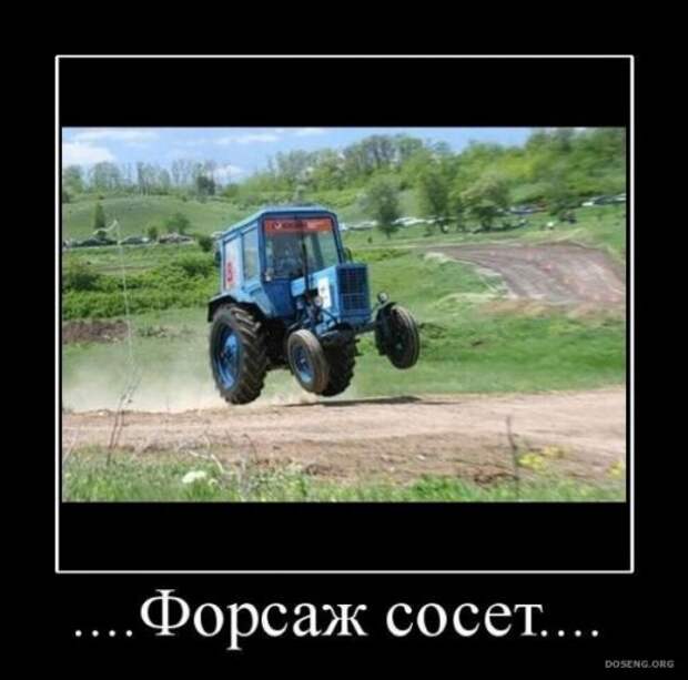 Демотиваторы-5 (31 фото)