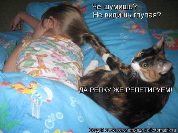 Котоматрица: Пользователь Котесса