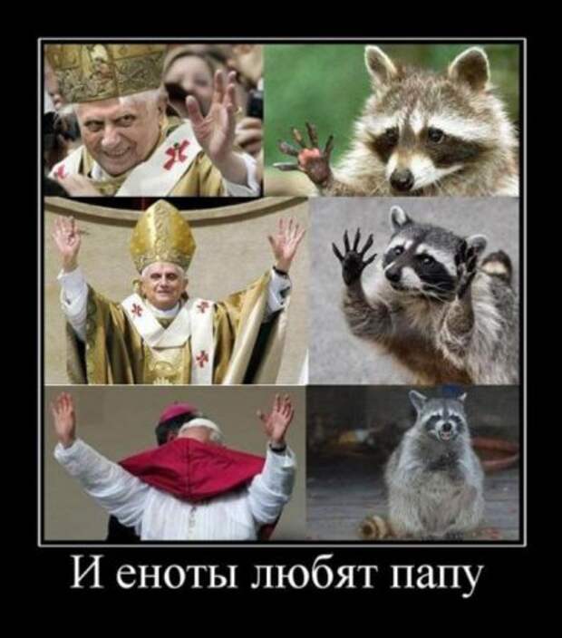 Пятничные демотиваторы новые приколы.