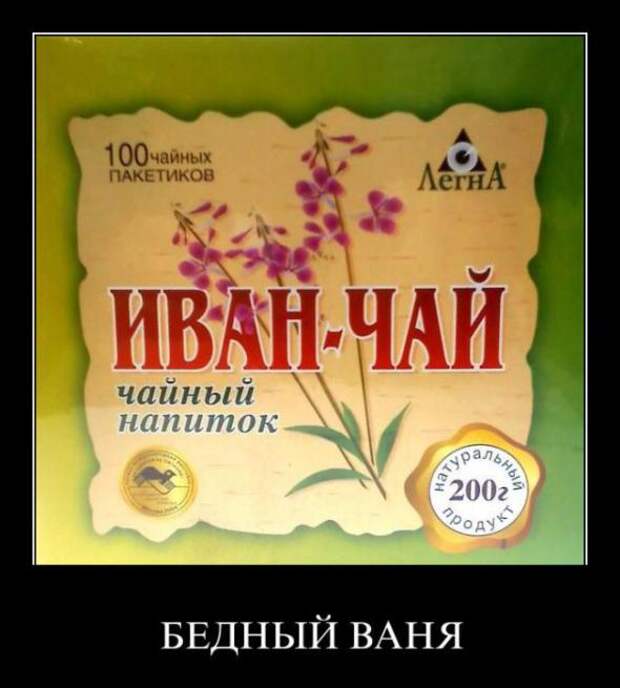 Забавные веселые картинки, демотиваторы