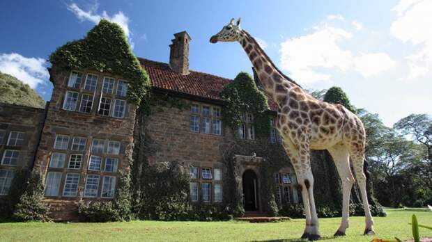 12. Отель Giraffe Manor в Кении места, мир, страны, туризм