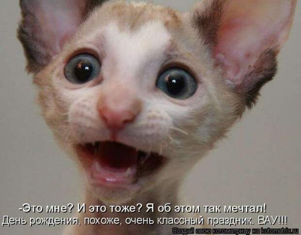 Мысли вслух :)