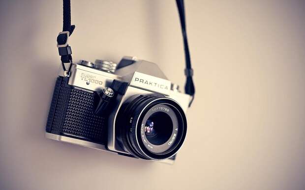 фотография/pixabay