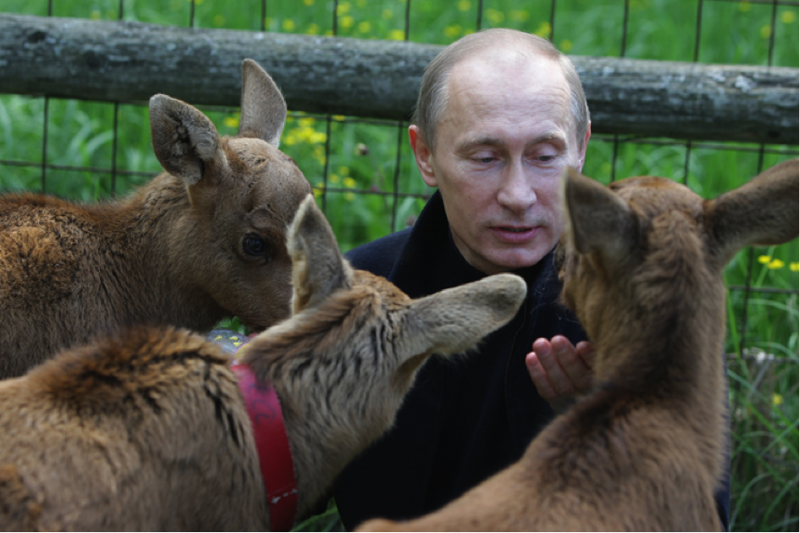 Владимир Владимирович Путин и звери добро, животные, мир, путин, россия